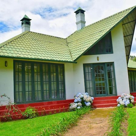 Hotel Camp Noel Munnar Esterno foto